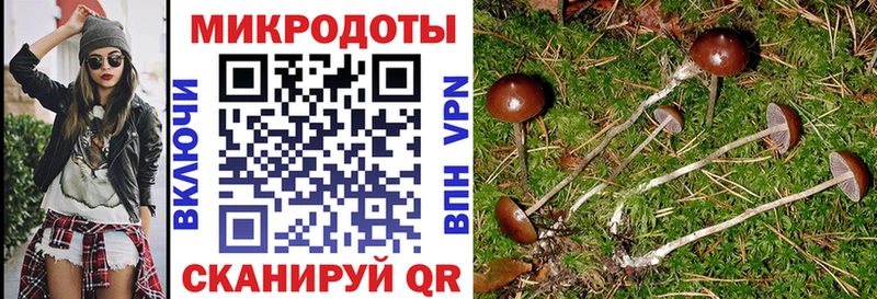 Галлюциногенные грибы мухоморы где купить наркоту Истра